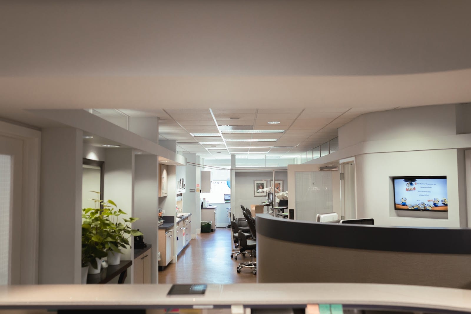 Lee and Lee Orthodontics