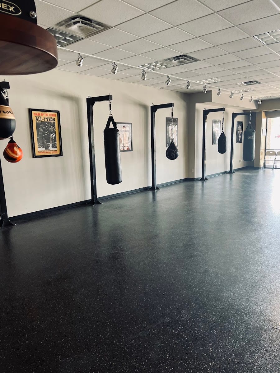 Sweet Science Boxing 520, photo 3