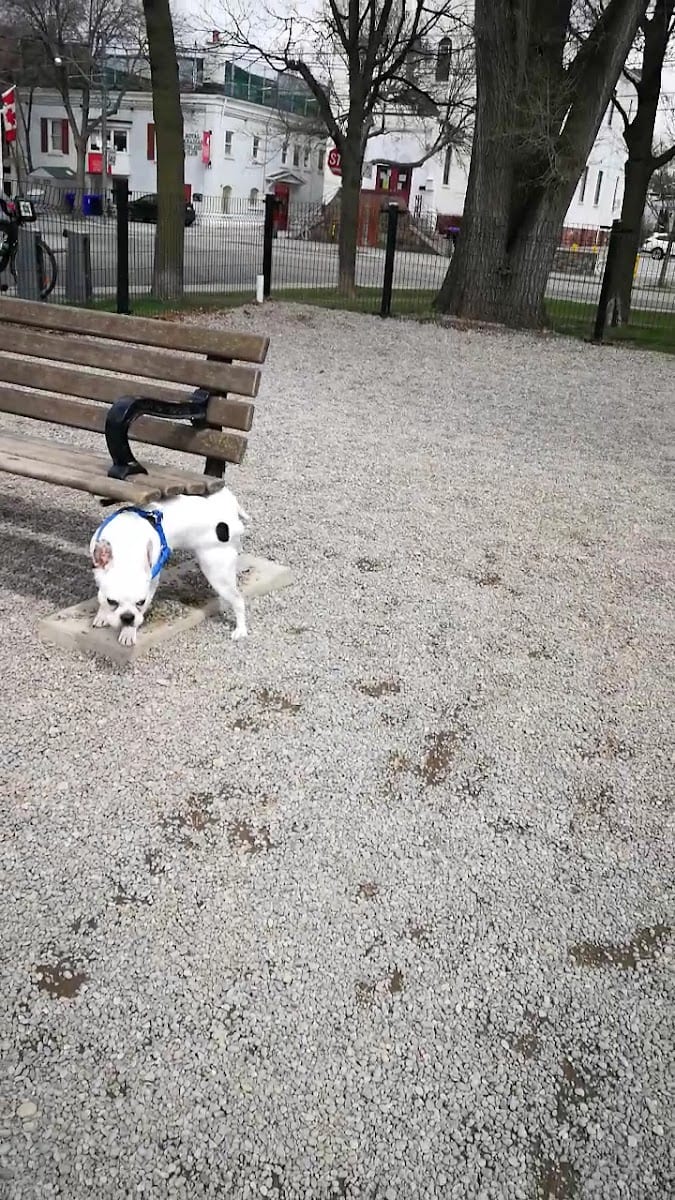 Thompson Street Parkette, photo 2