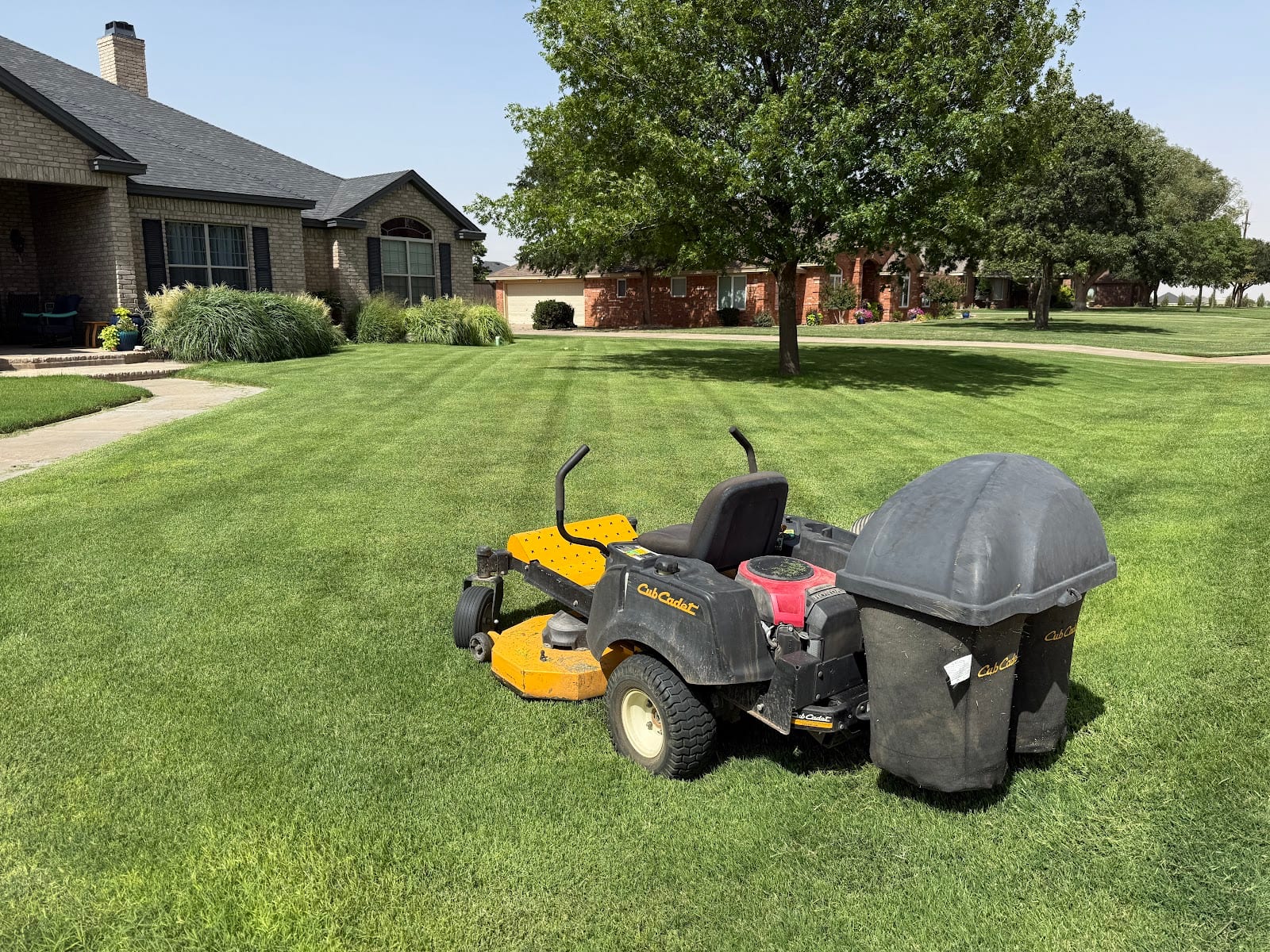 Lush Lawn and Landscaping, photo 3