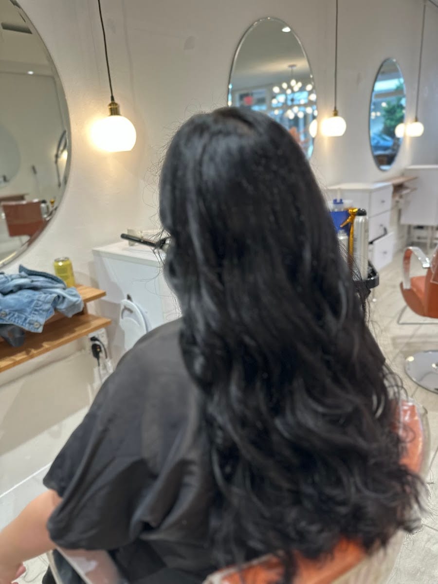Brittney Pressman Hair / BeElevated Alchemy