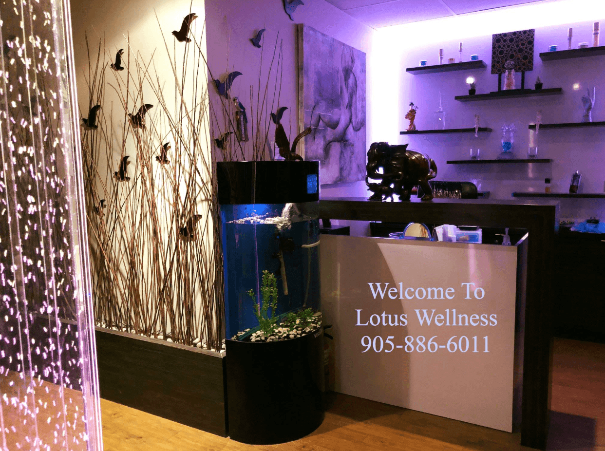 Lotus Wellness Centre & Massage Spa, photo 4