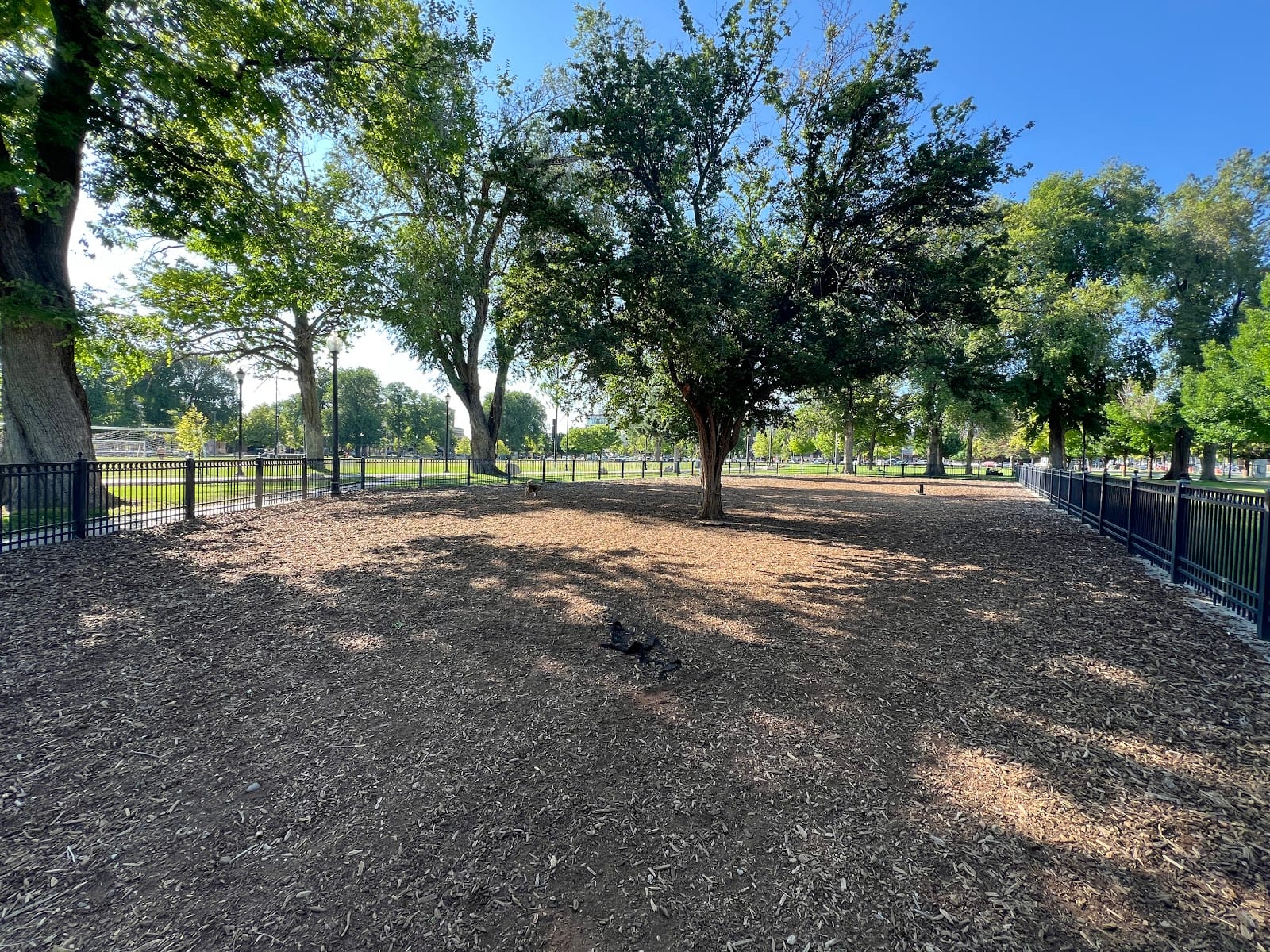 Pioneer Dog Park, photo 2