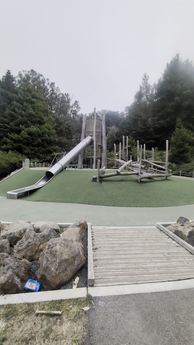 McLaren Redwood Playground, photo 2