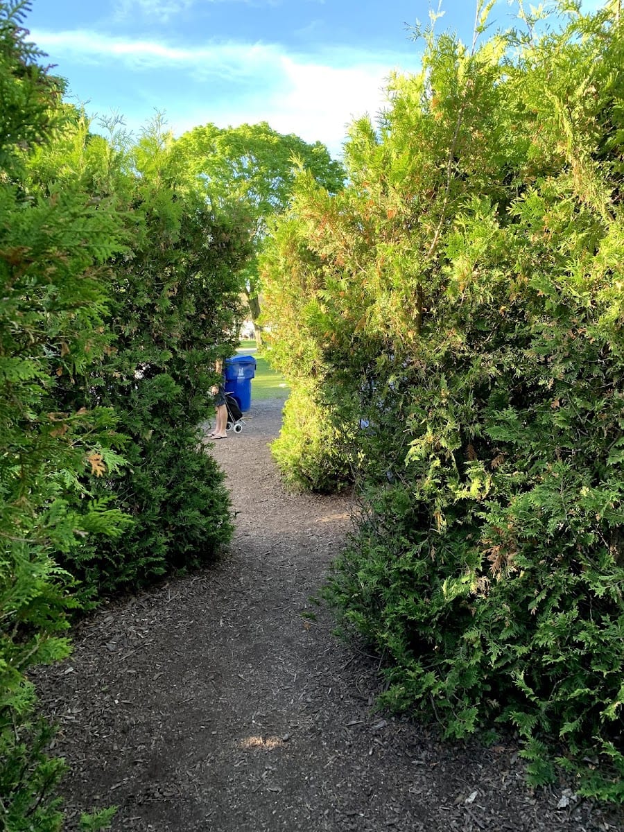 William Meany Maze