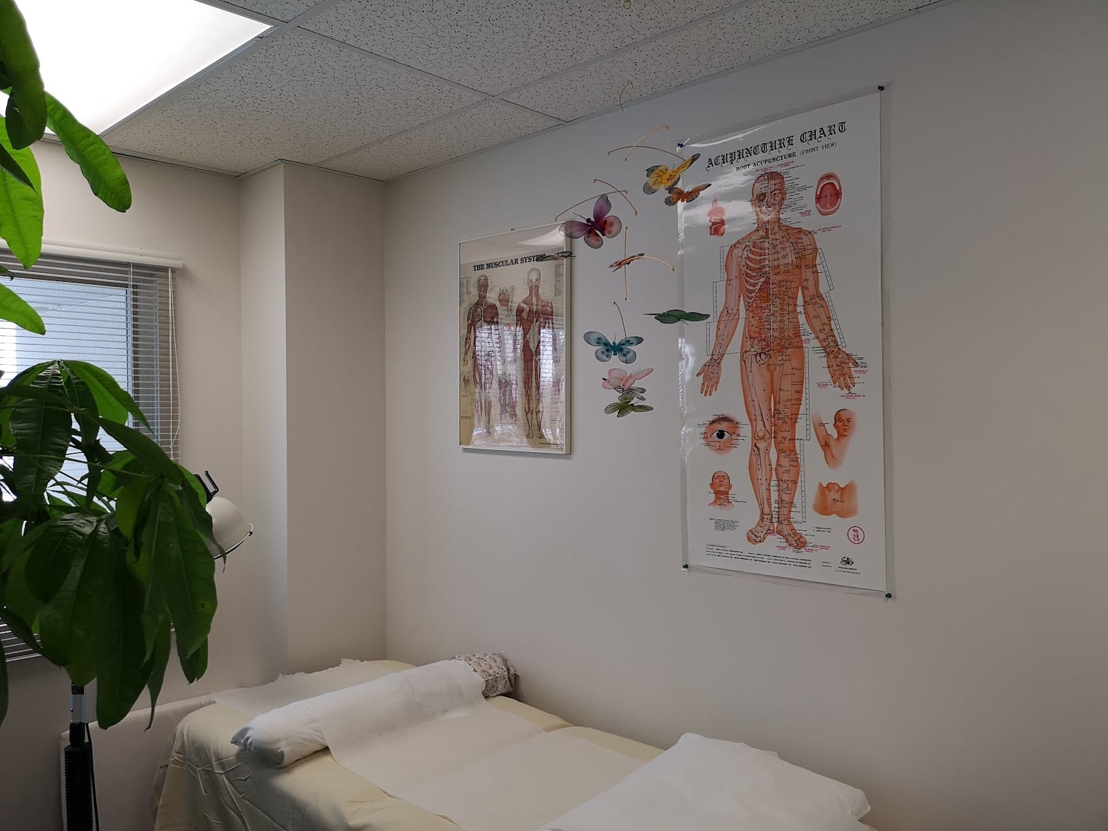 Oriental Wellness Center, photo 2