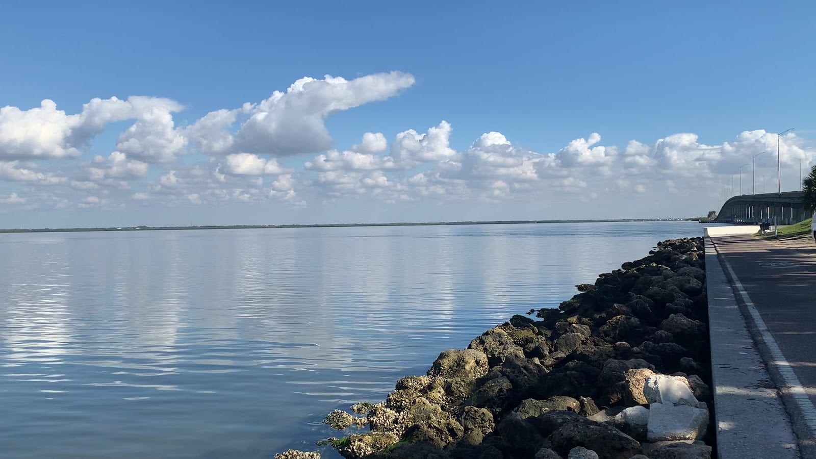 Courtney Campbell Causeway - Shelter, photo 3