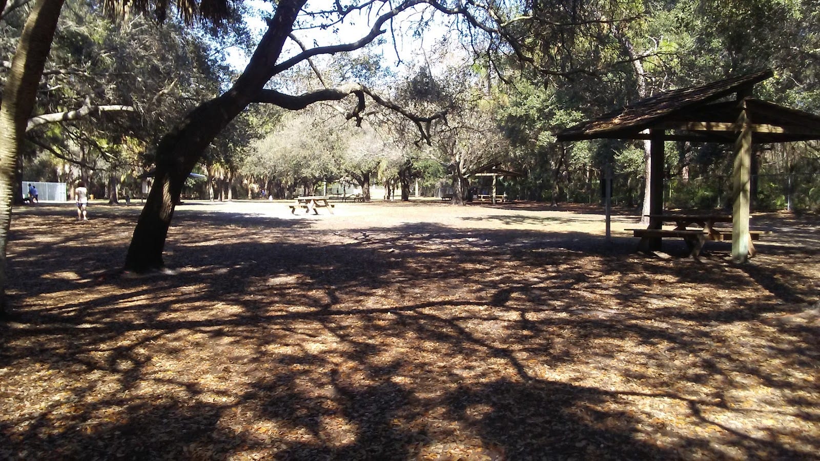 Woodmere Park