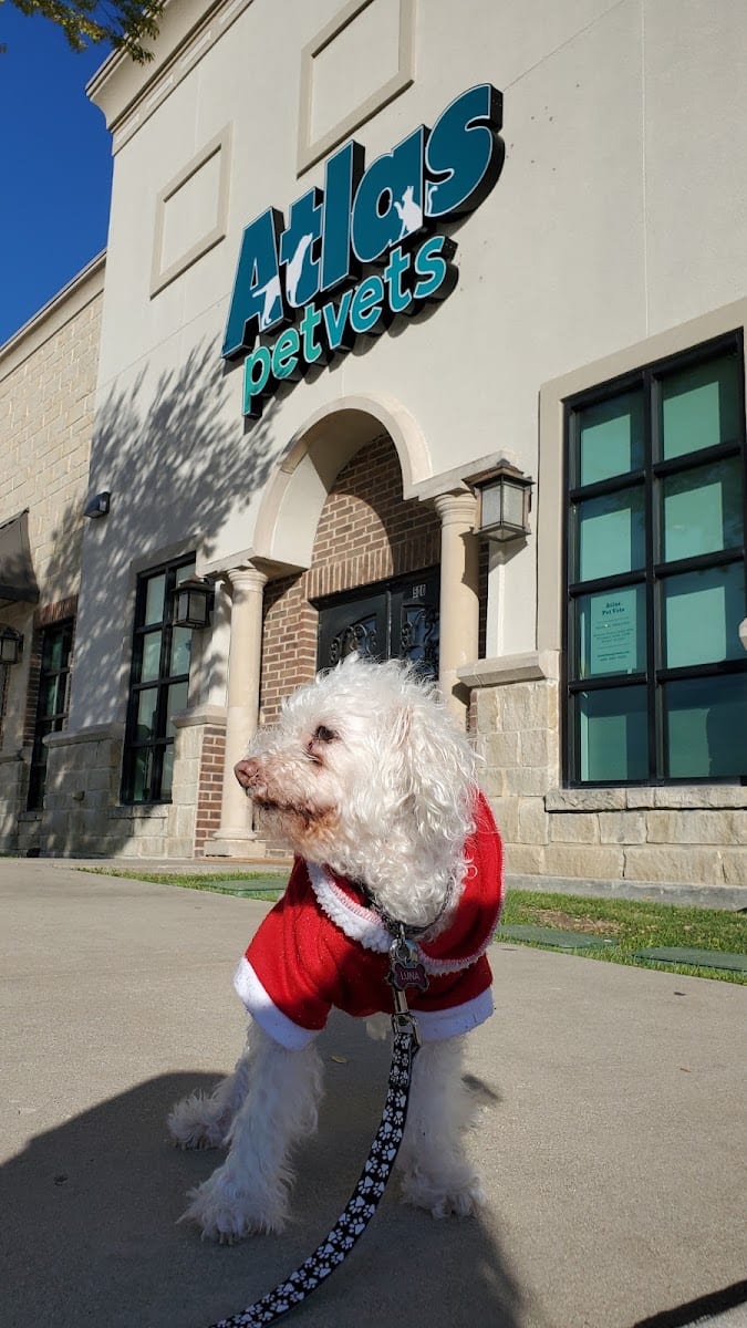 Atlas Pet Vets, photo 3
