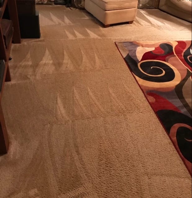 LocalPro Carpet Cleaning of Madison, photo 3