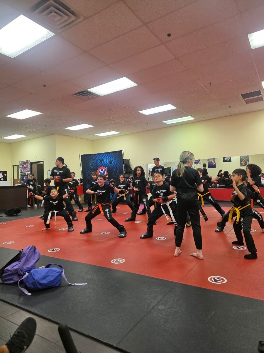 Victory Martial Arts - Tenaya, photo 2