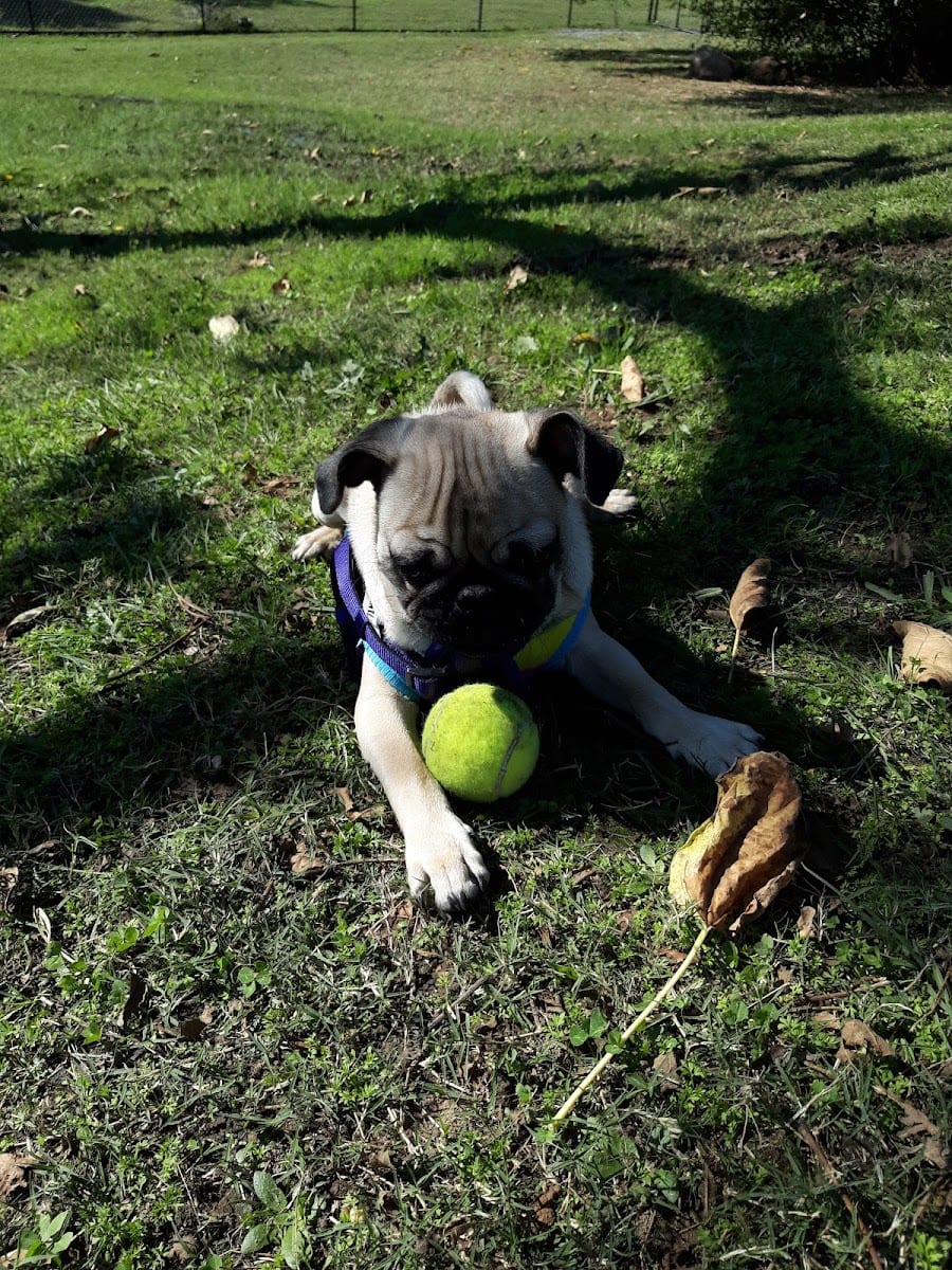 MacArthur Dog Park and Recreation