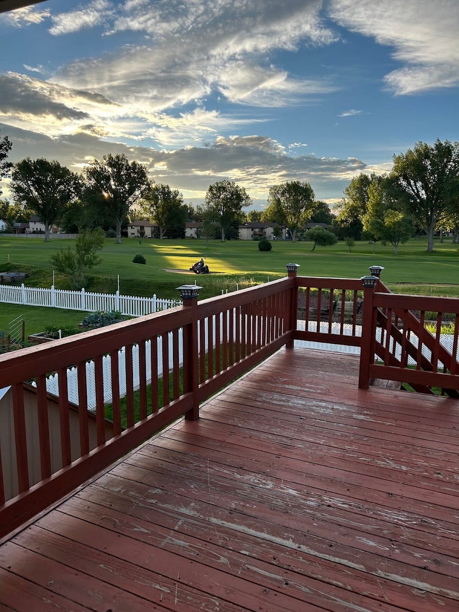 Alisha Collins Real Estate Team - Powered by eXp Realty, photo 3