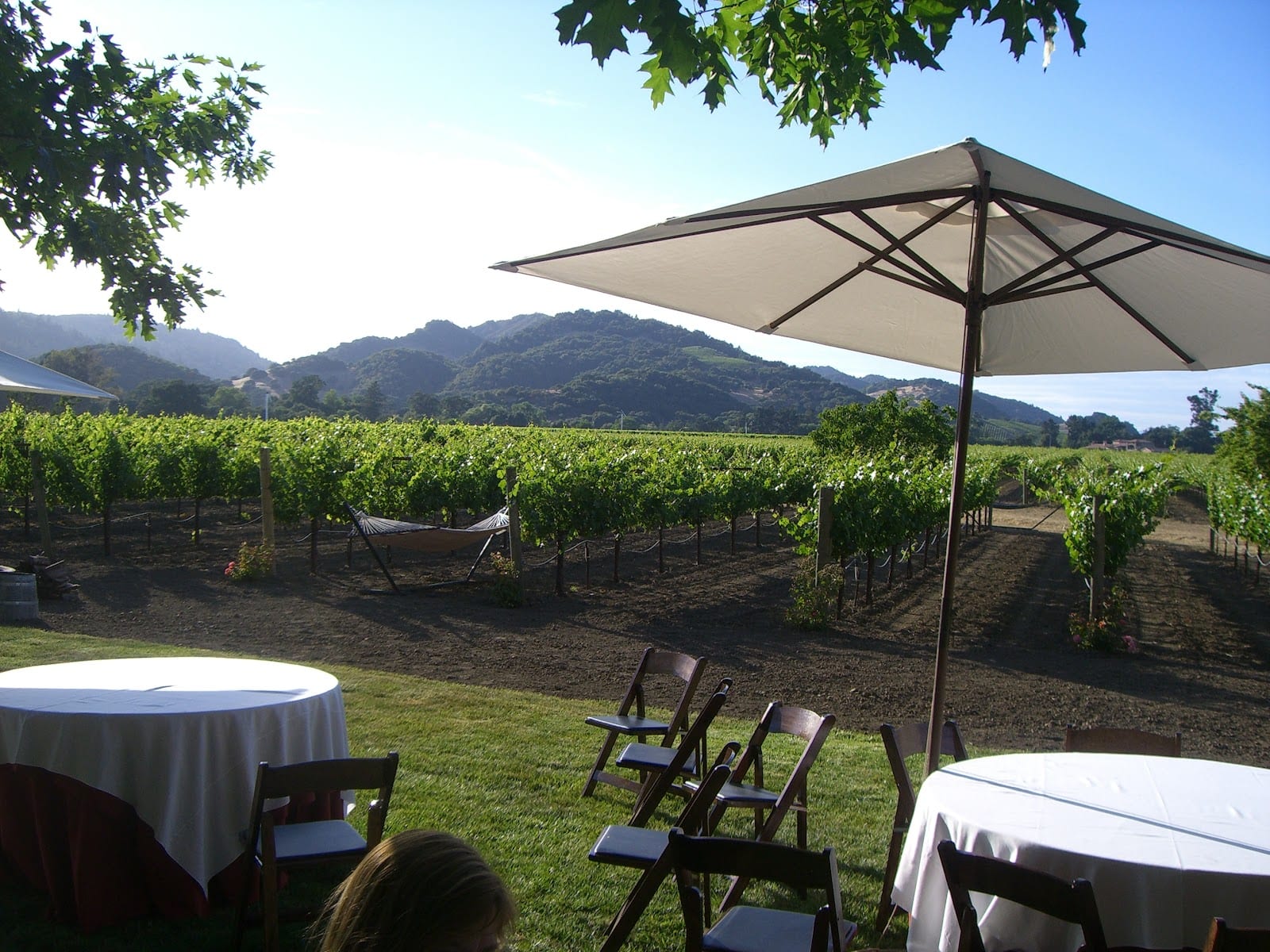 O'Brien Estate Winery, photo 2