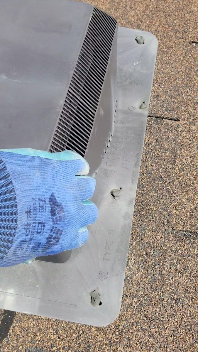 Kia pestcontrol&wildlife removal, photo 3