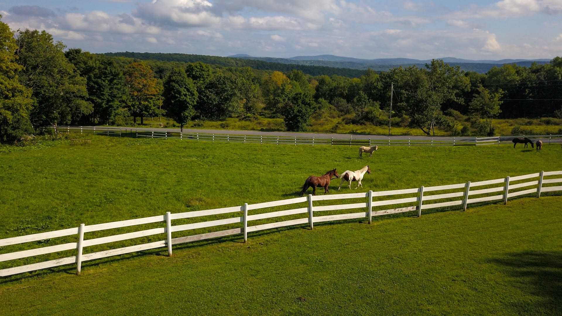 Horse and Home Estates