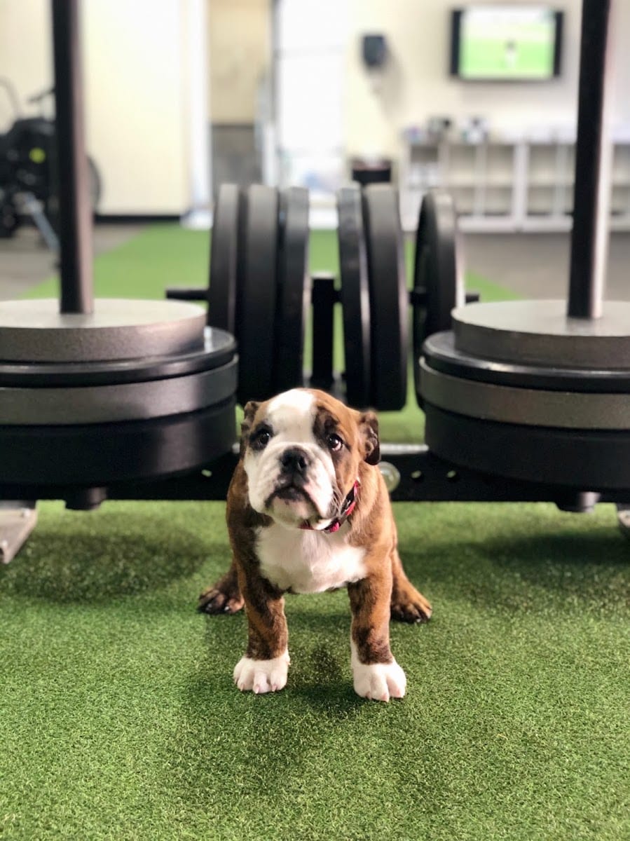 Motionlab