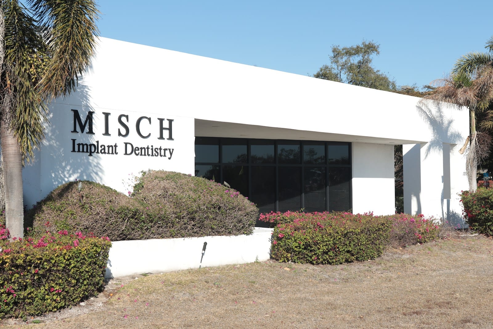 Misch Implant & Aesthetic Dentistry