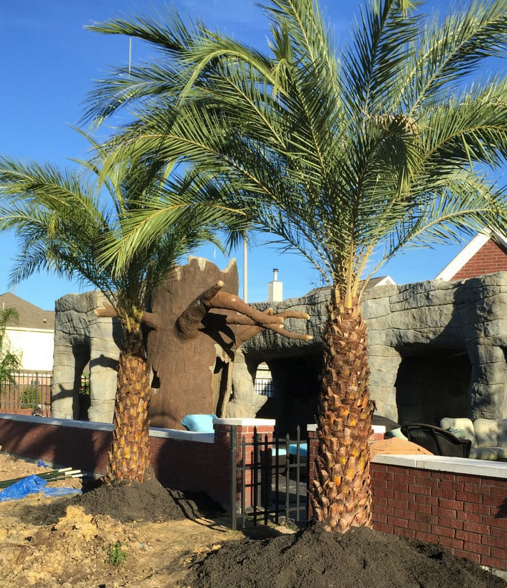 Green Thumb Nursery & Landscaping, photo 4