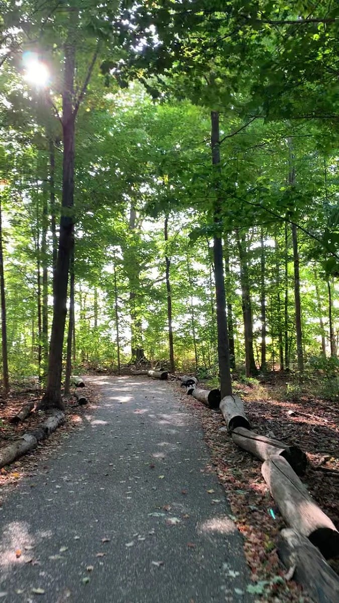 Beaver Woodland, photo 2