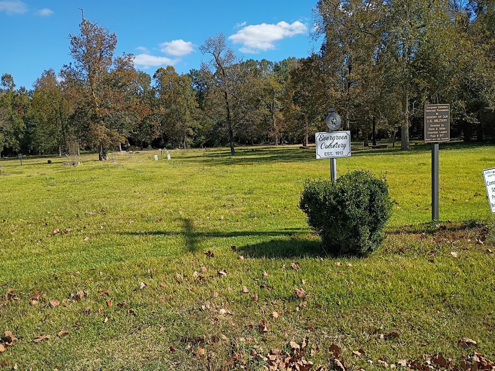True Green lawn care, photo 3