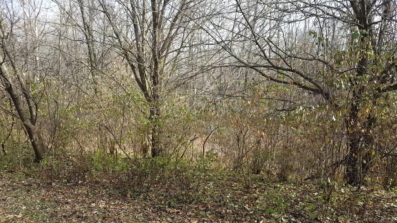 Maumee Trailhead, photo 4