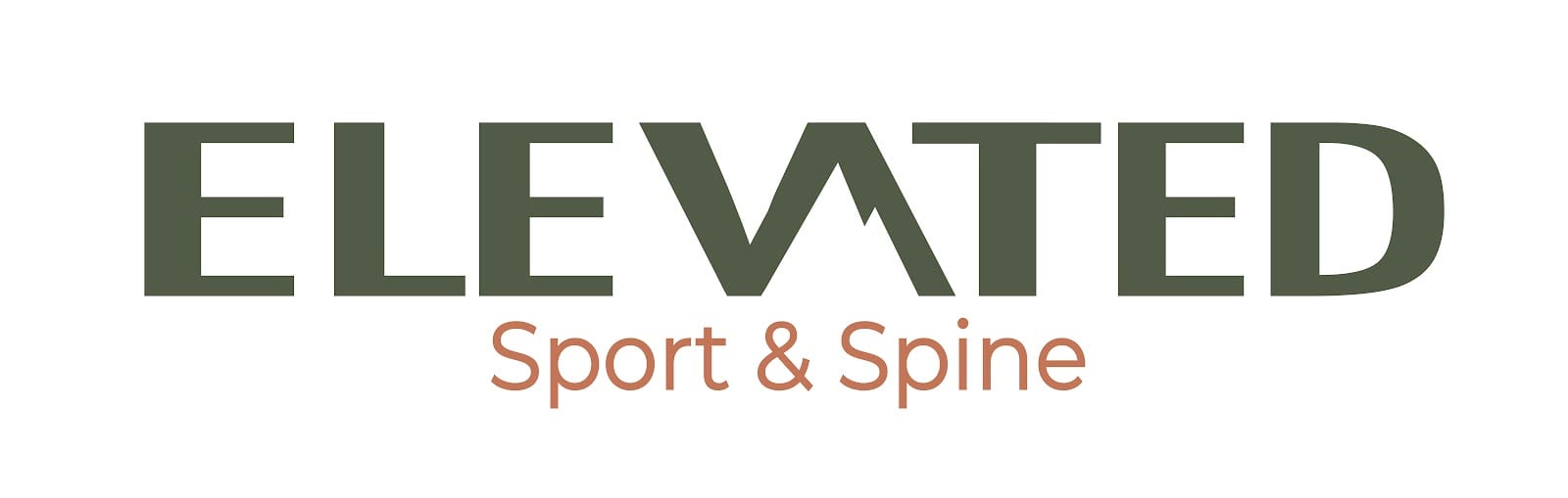 Elevated Sport and Spine, photo 3