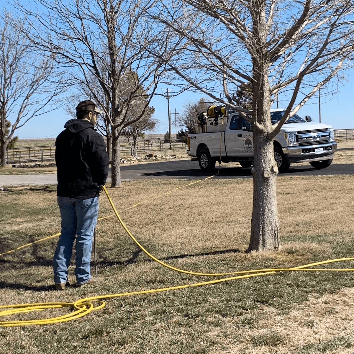 Arborlogical - SavATree, photo 4