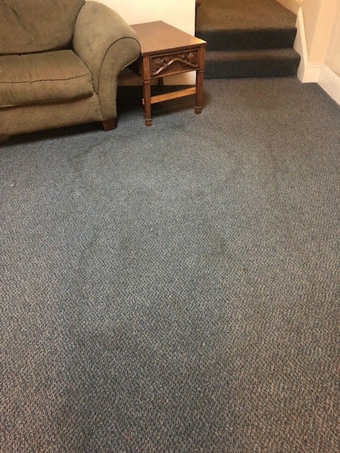 Sutro Property Management, photo 3