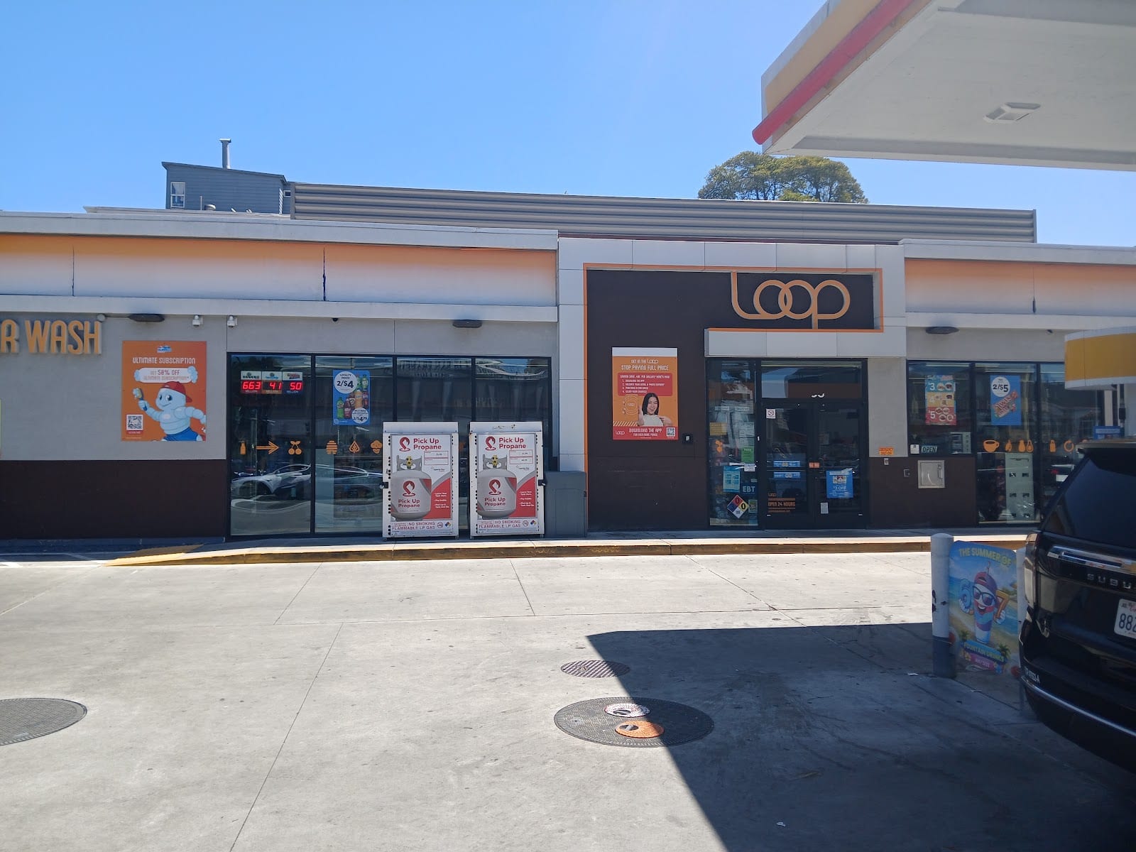 Shell, photo 3