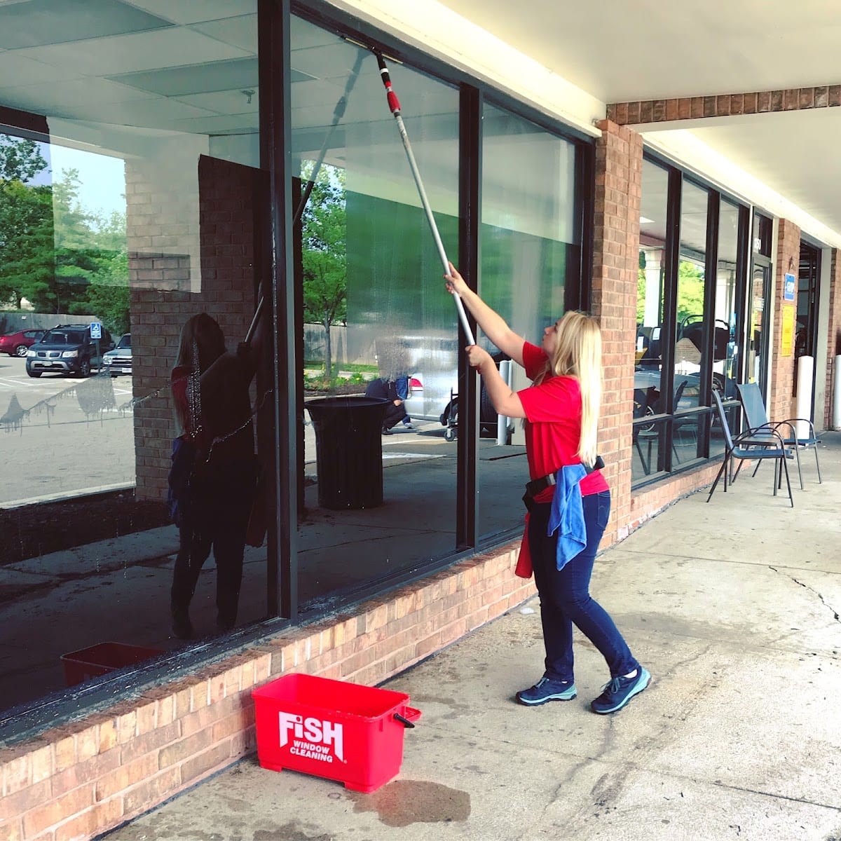 Fish Window Cleaning, photo 4