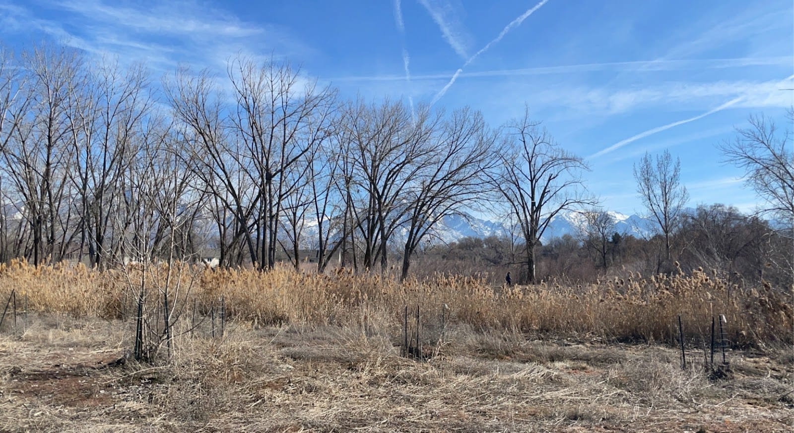 Jordan River Parkway Trail