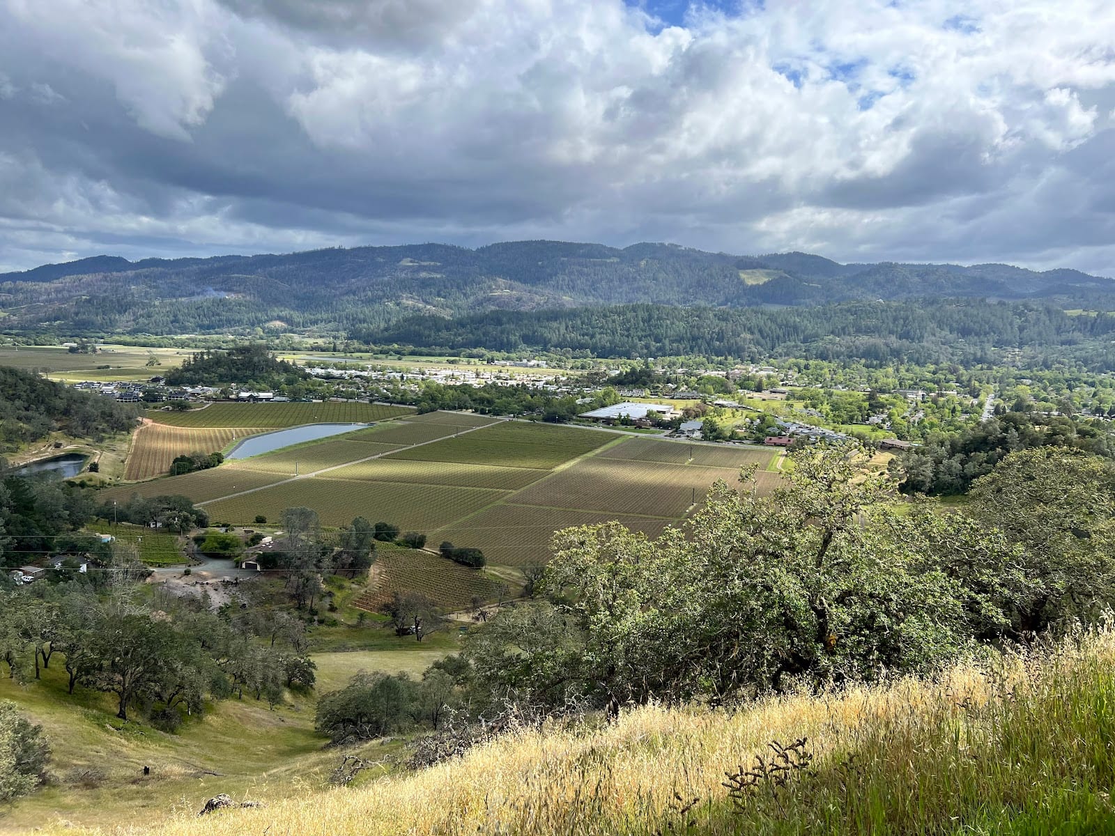 Oat Hill Mine Trailhead