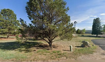 Chenango Park