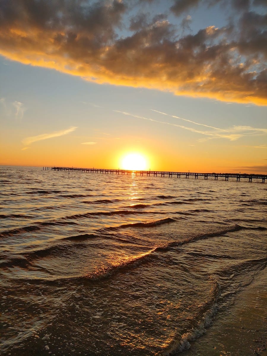 Bayshore Live Oak Park, photo 4