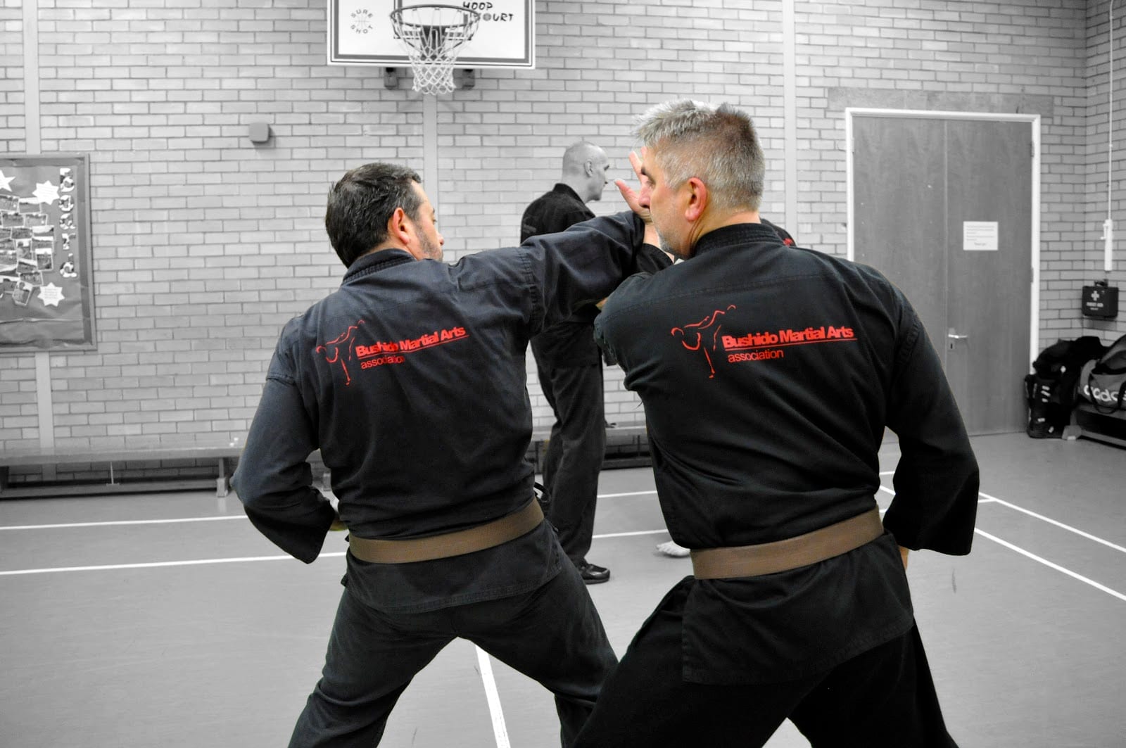 Bushido Martial Arts - Karate, Krav Maga & Yoga