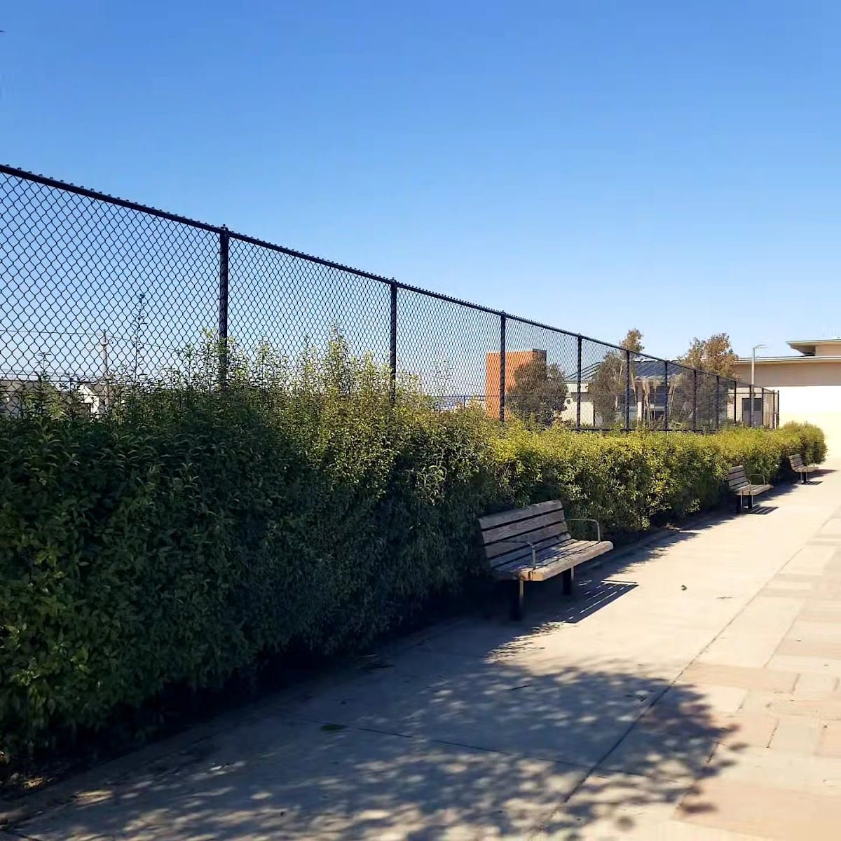 Sunset Rec Center Tennis Courts, photo 2
