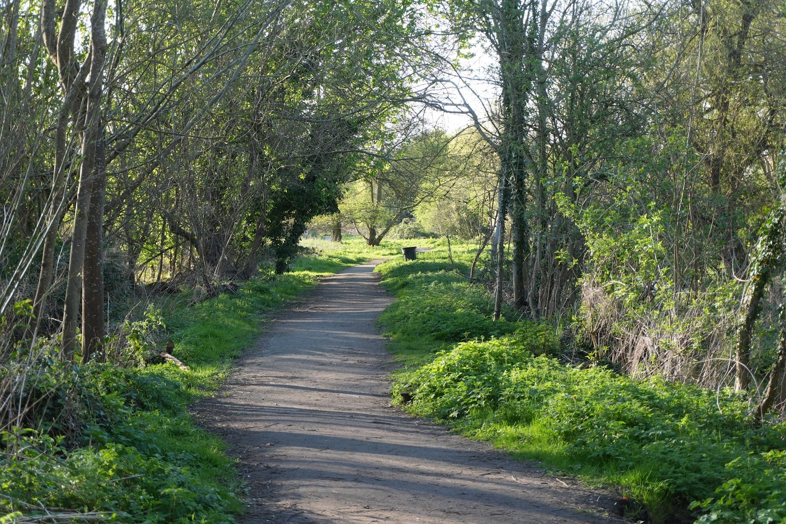 River Ver Trail, photo 3