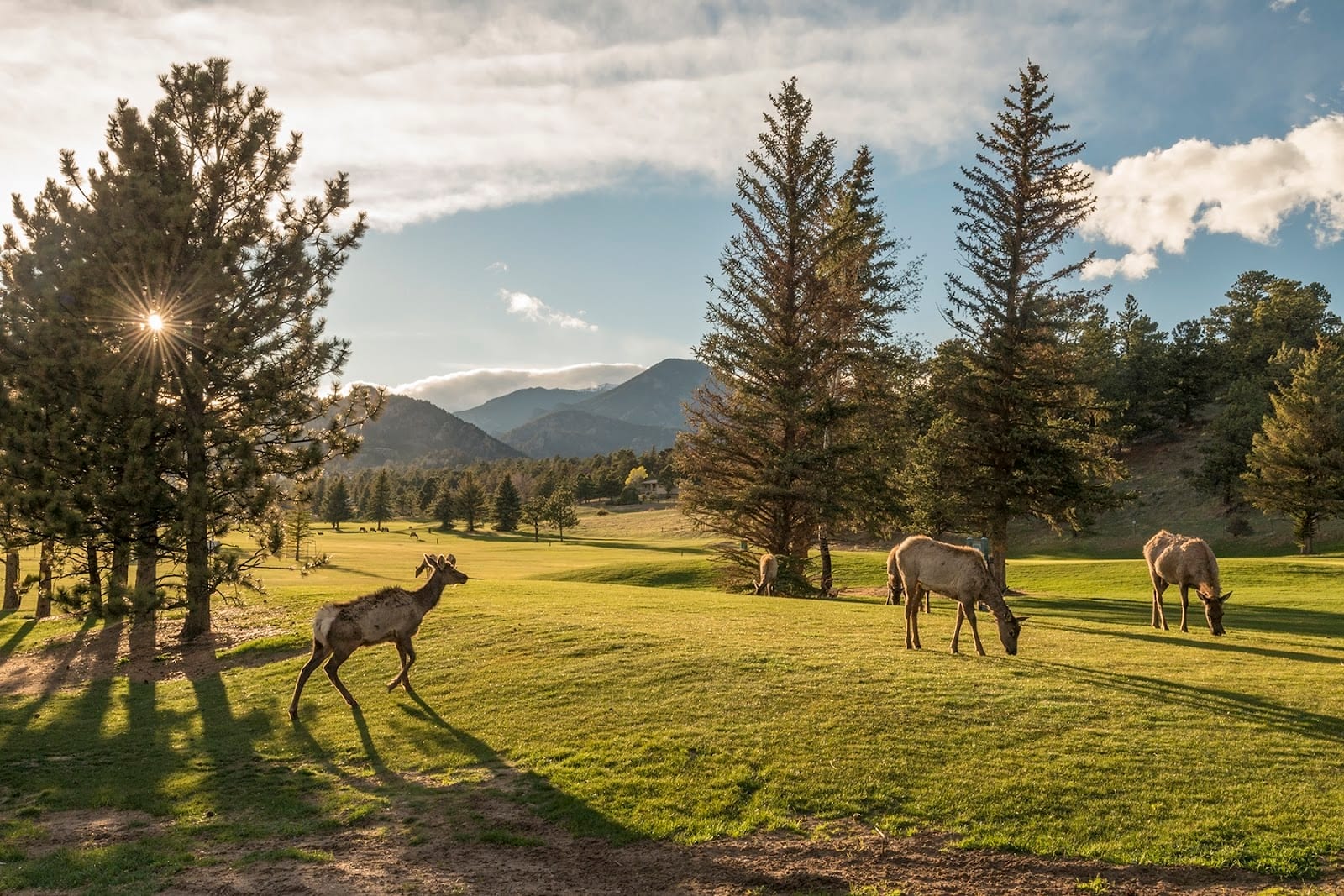 Lake Estes 9-Hole Golf Course, photo 4