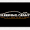 Sleeping Giant Refinishing