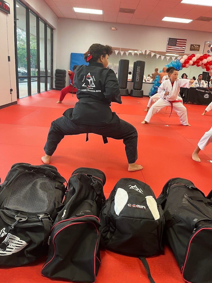 Martinez Martial Arts, photo 3