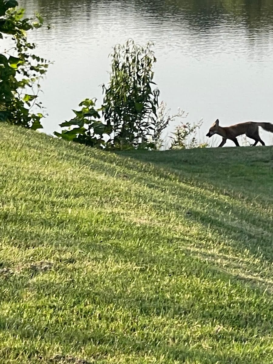 Riverbend Golf Course, photo 4