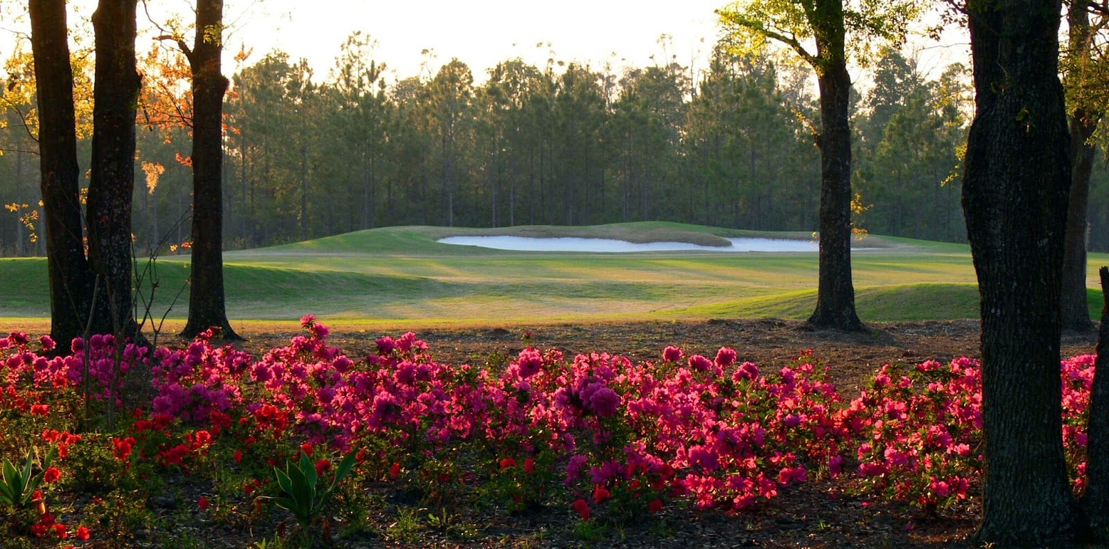 Eagle Landing Golf Club, photo 2