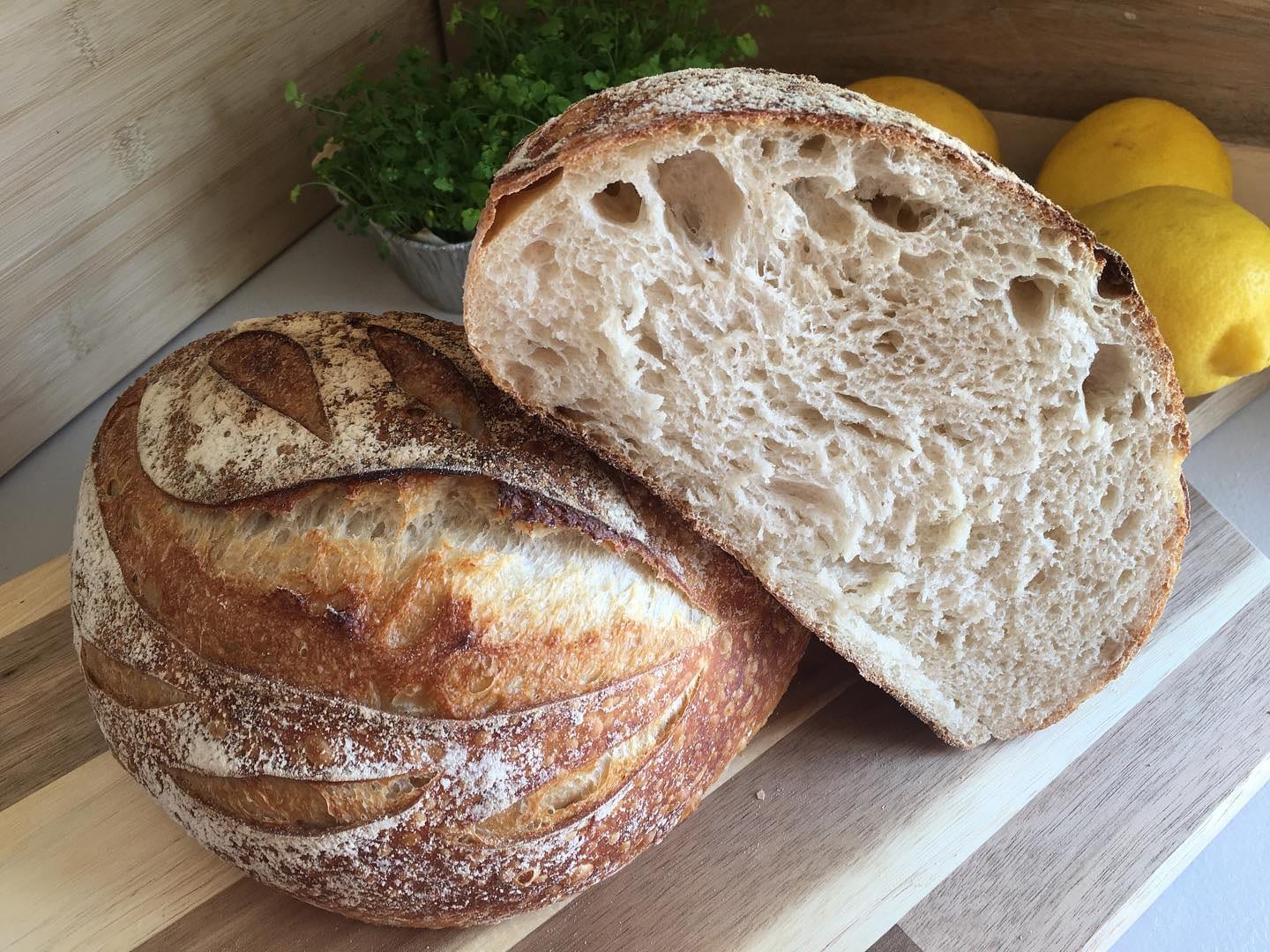 Organic Bread Cafe