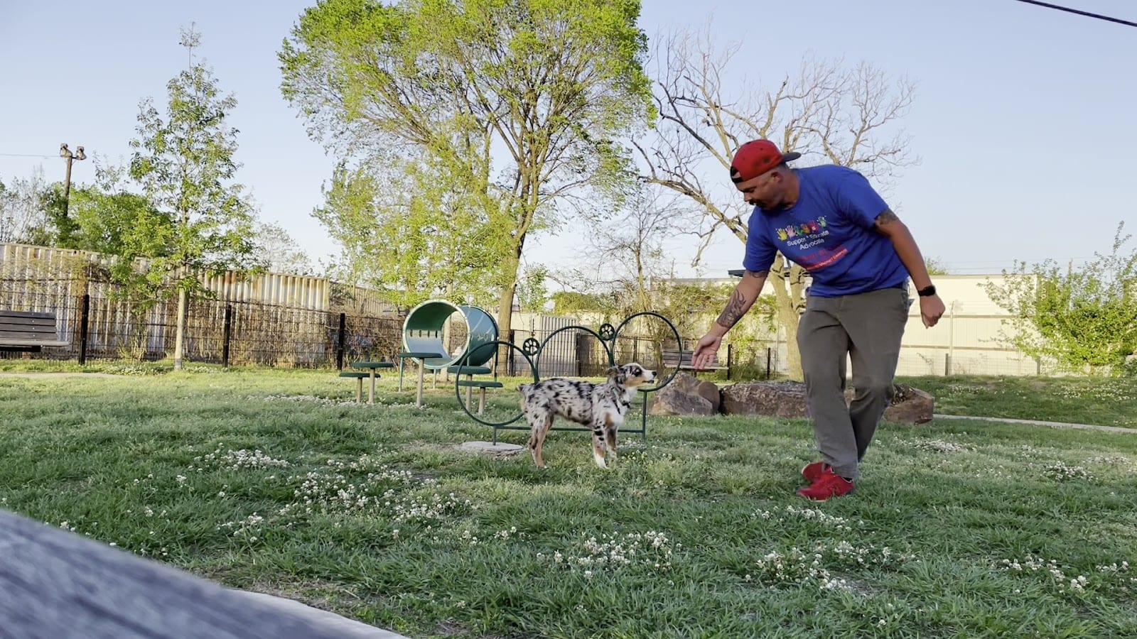 Jody Miller Dog Park, photo 2