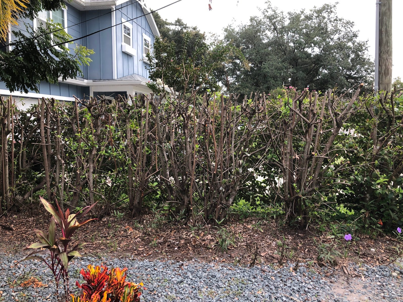 Cj's Lawn Services & Landscaping