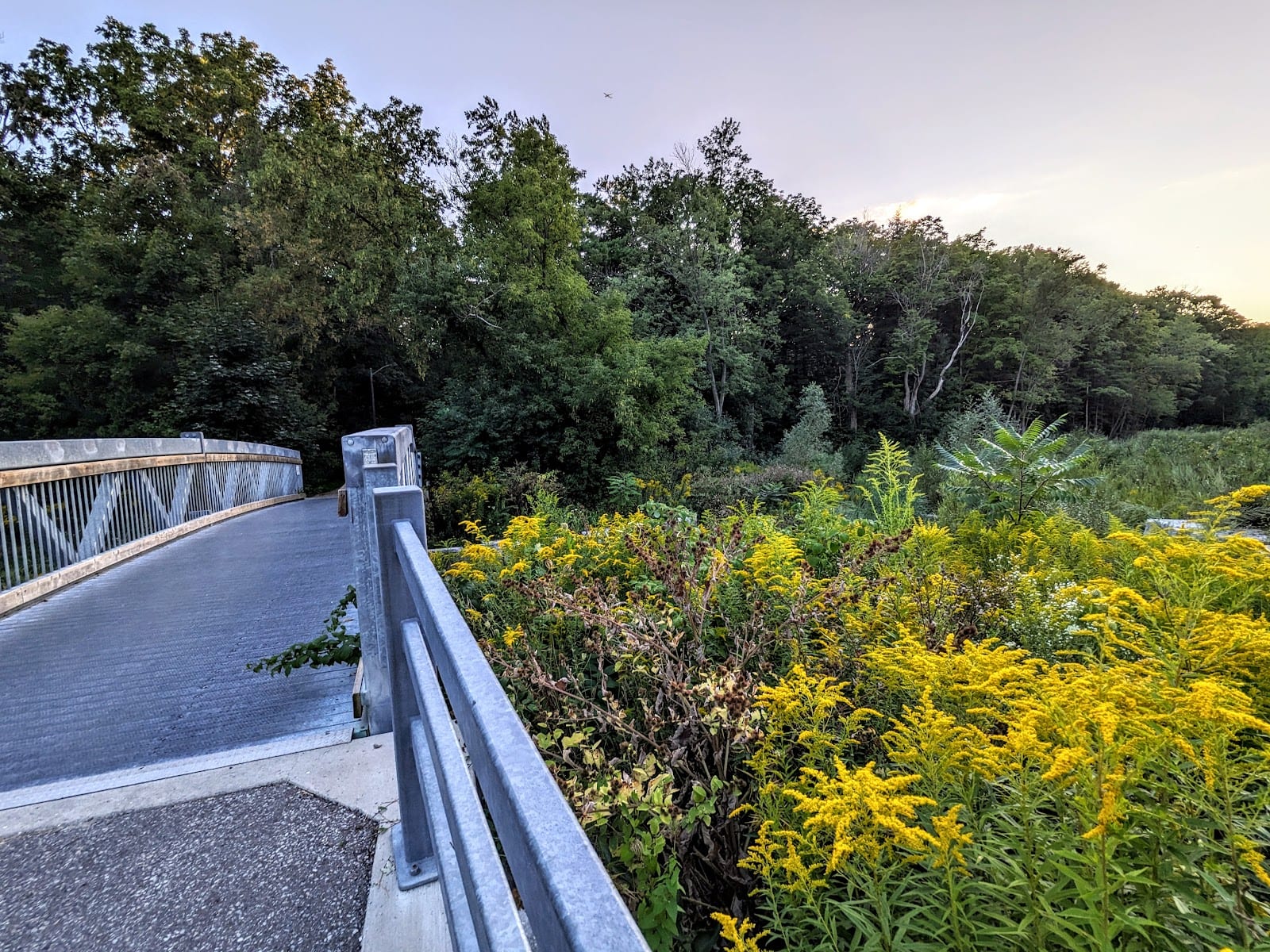 Duncan CreekTrail Francine Dr. Entrance