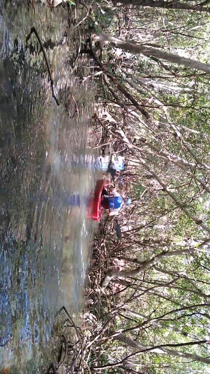 Ted Sperling Park Nature Trail, photo 2