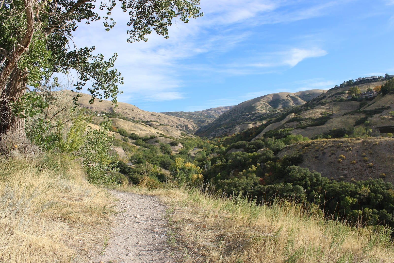 Lower City Creek Loop Trailhead