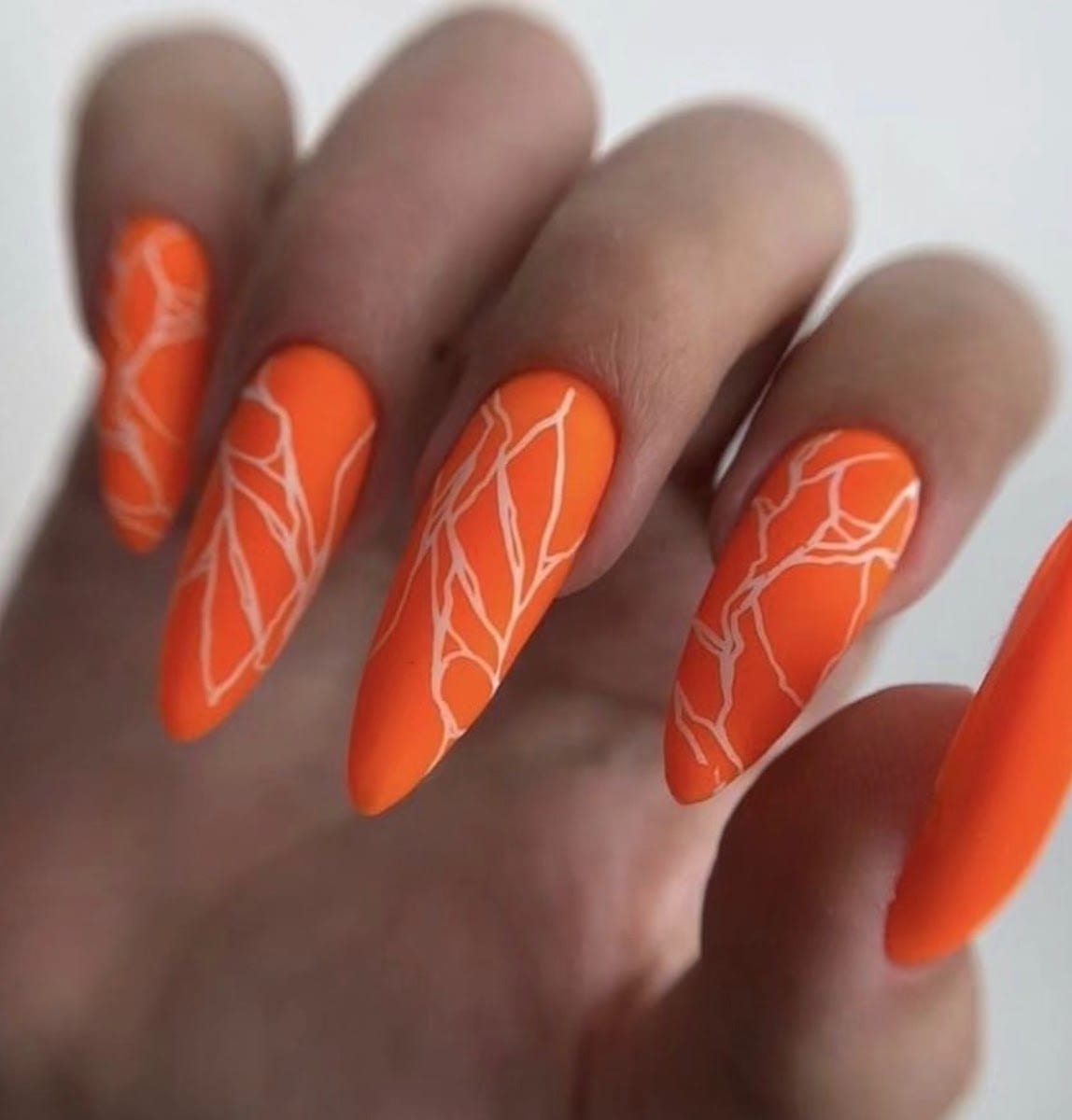 blossom nails spa, photo 4